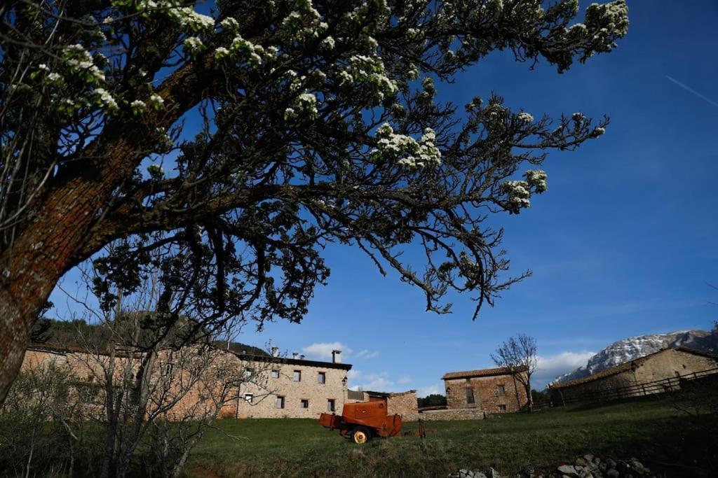 Preciosa Casa Rural Cal Jaumet Cava Kültér fotó
